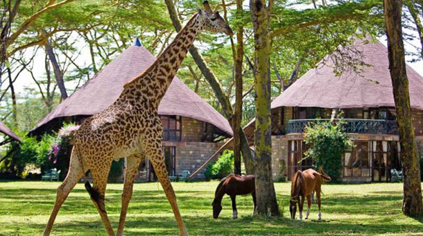 Hoteles Ofertas Dynamic Tours